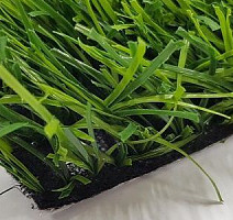 Роял Тафт Атланта